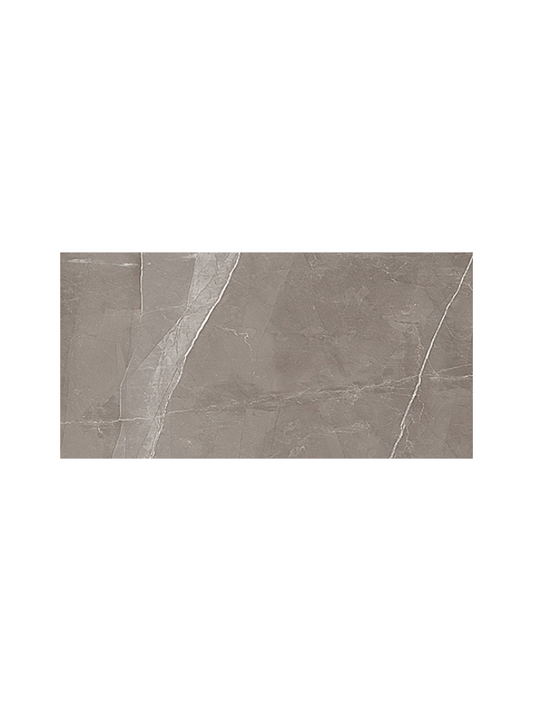 Rectangular tile with a grayish-brown color and subtle texture on a white background