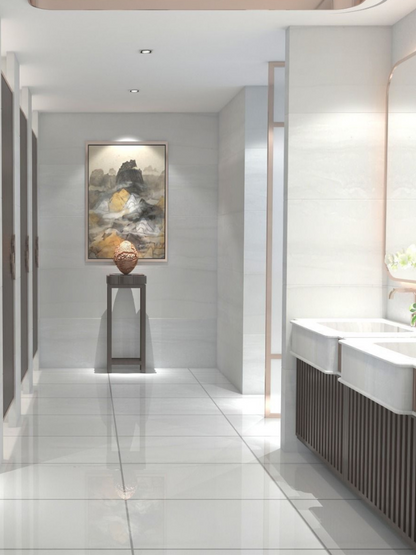 Demire Bianco Glossy 30cm x 60cm Wall and Floor Tile